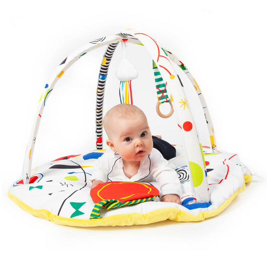 The Play Gym