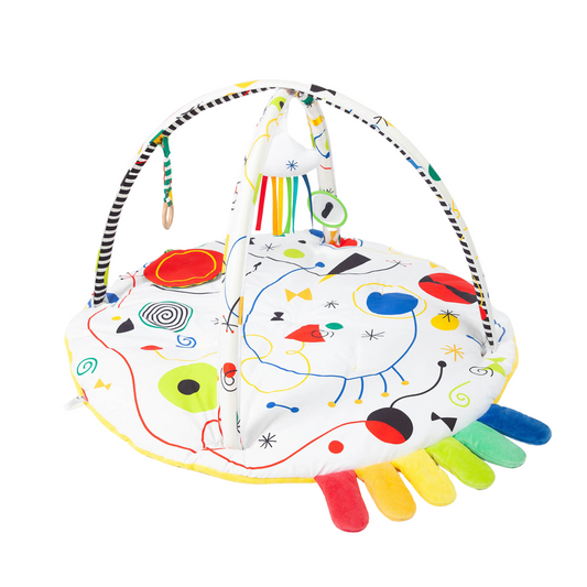 The Play Gym